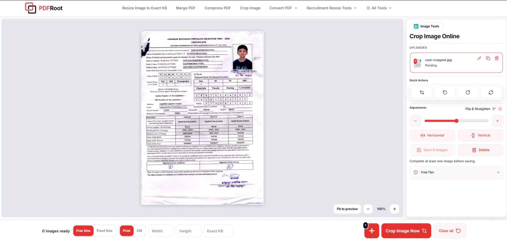 PDFRoot Crop Image Tool showing an A4 document ready for cropping and image preparation